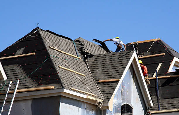 Best Storm Damage Roof Repair  in Portland, MI