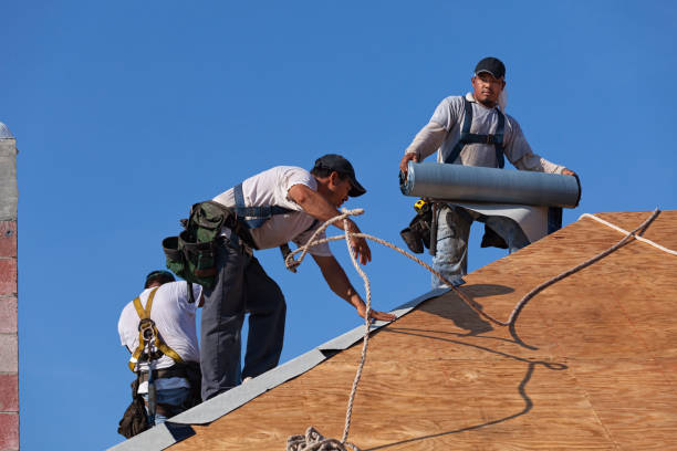 Best Roof Leak Repair  in Portland, MI