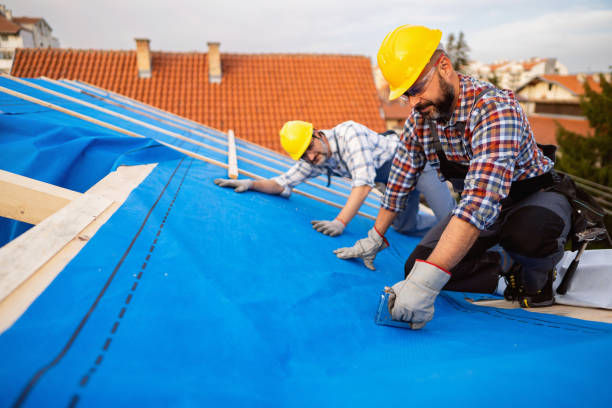 Best Flat Roof Repair Services  in Portland, MI