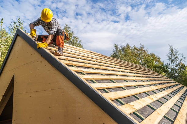Best Roof Gutter Cleaning  in Portland, MI
