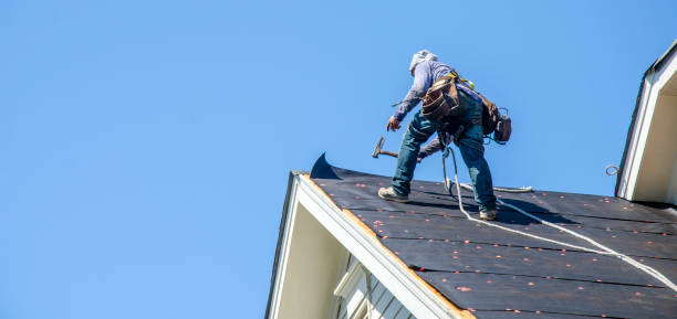 Best Metal Roofing Contractor  in Portland, MI